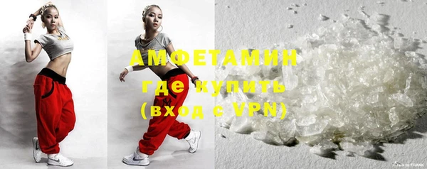 индика Дмитровск