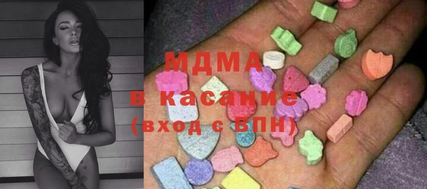 индика Дмитровск