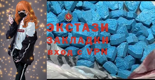 индика Дмитровск