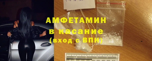 индика Дмитровск