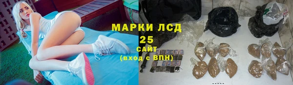 индика Дмитровск