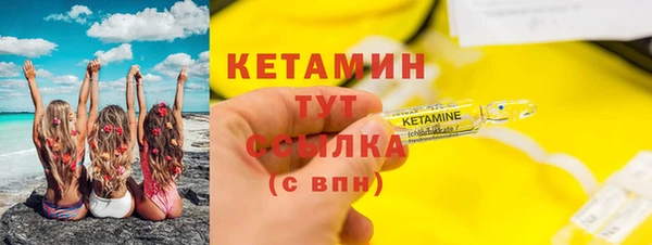 индика Дмитровск