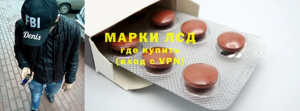 индика Дмитровск