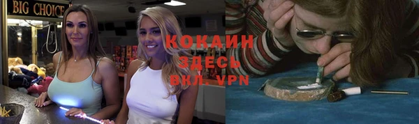 гидропоника Дмитриев