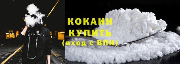 индика Дмитровск