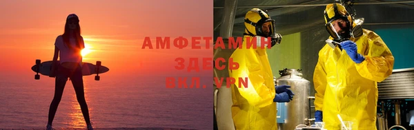 индика Дмитровск
