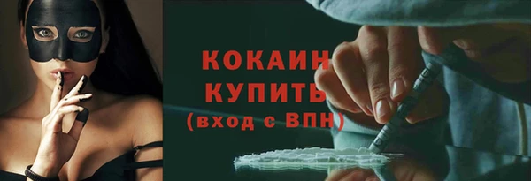 индика Дмитровск