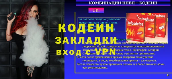 индика Дмитровск