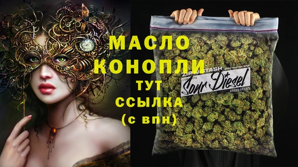 индика Дмитровск