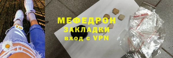 индика Дмитровск