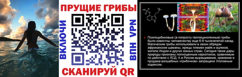 Купить закладки  Красавино  Псилоцибиновые грибы мухоморы 